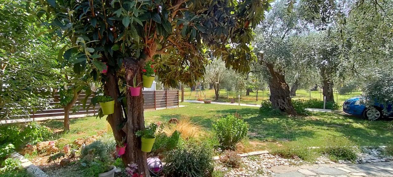 Chrisella * Skala Rachoni (Thasos)