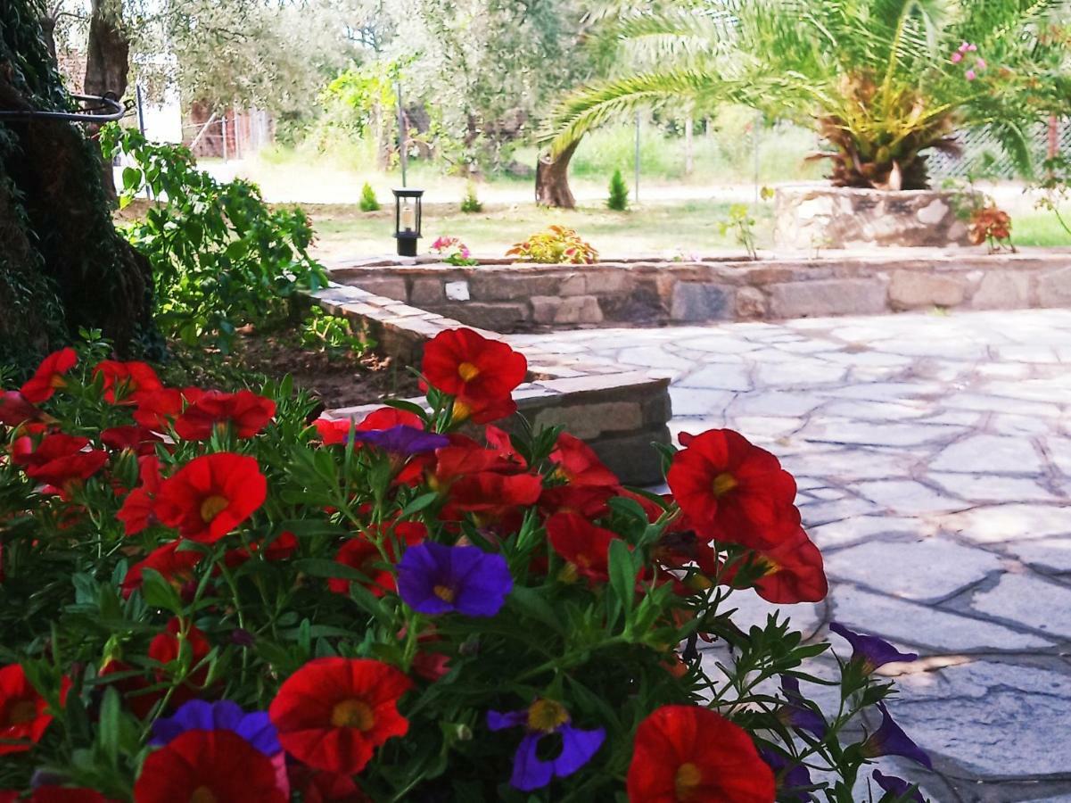 Chrisella Villa Skala Rachoni (Thasos)