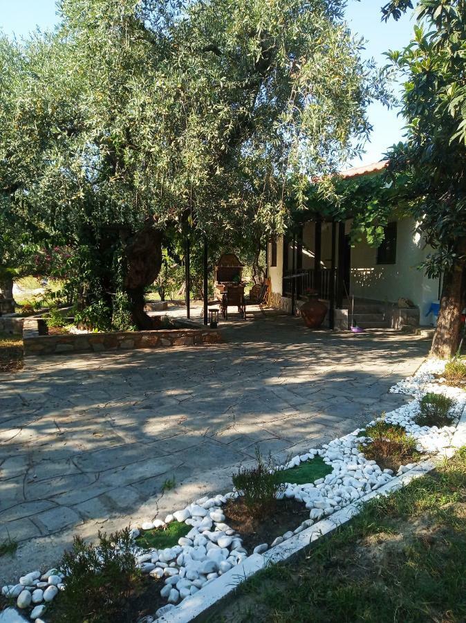 Villa Chrisella *